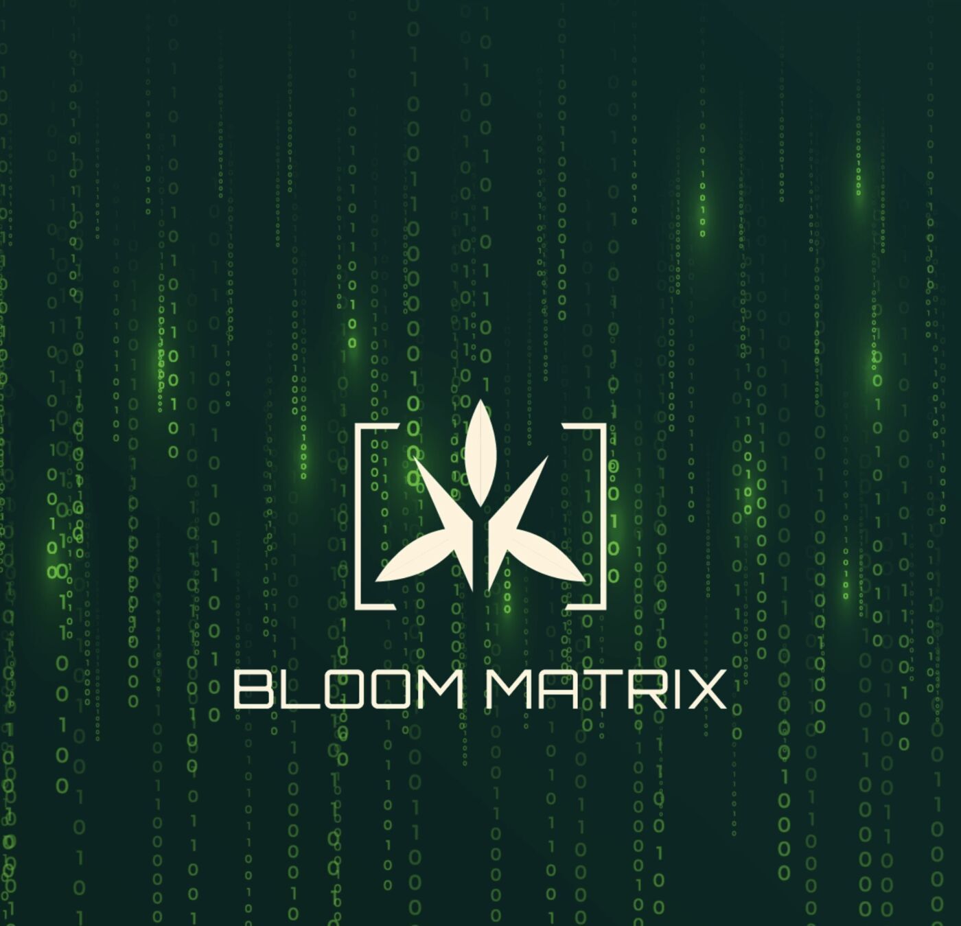 How Growers Can Benefit From Digital Agriculture Practices