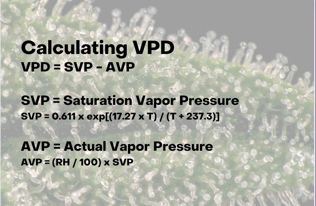 How to calculate Vapor Pressure Deficit (VPD)