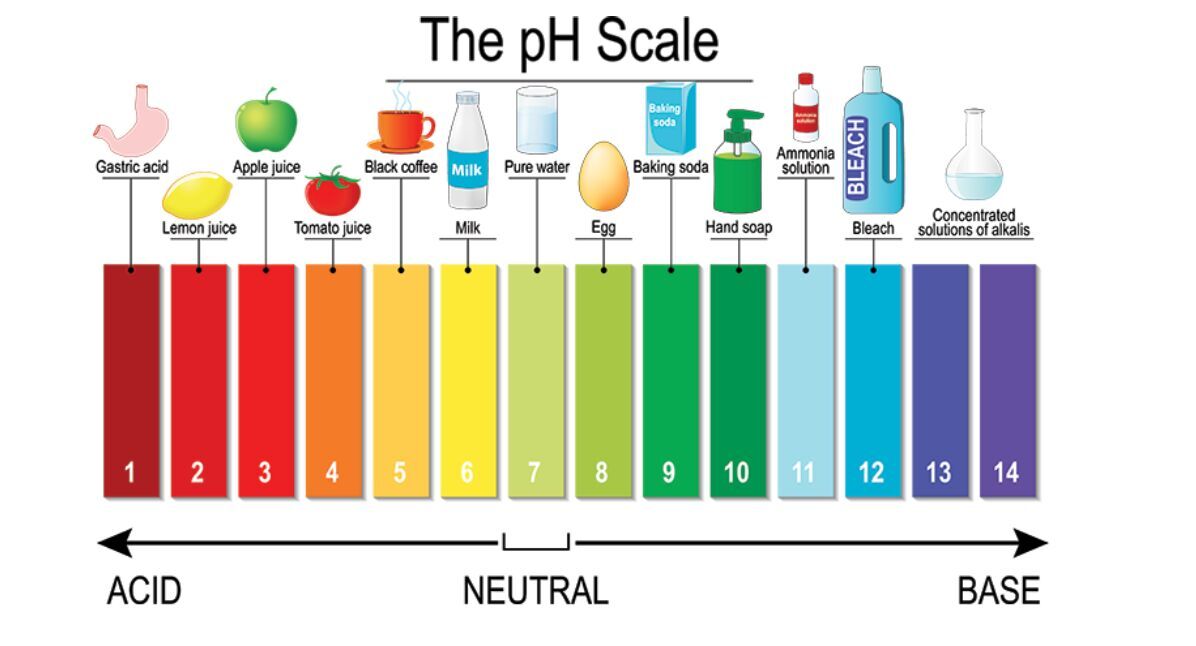Introduction to pH and EC for Optimal Soil-based Indoor Plant Growth