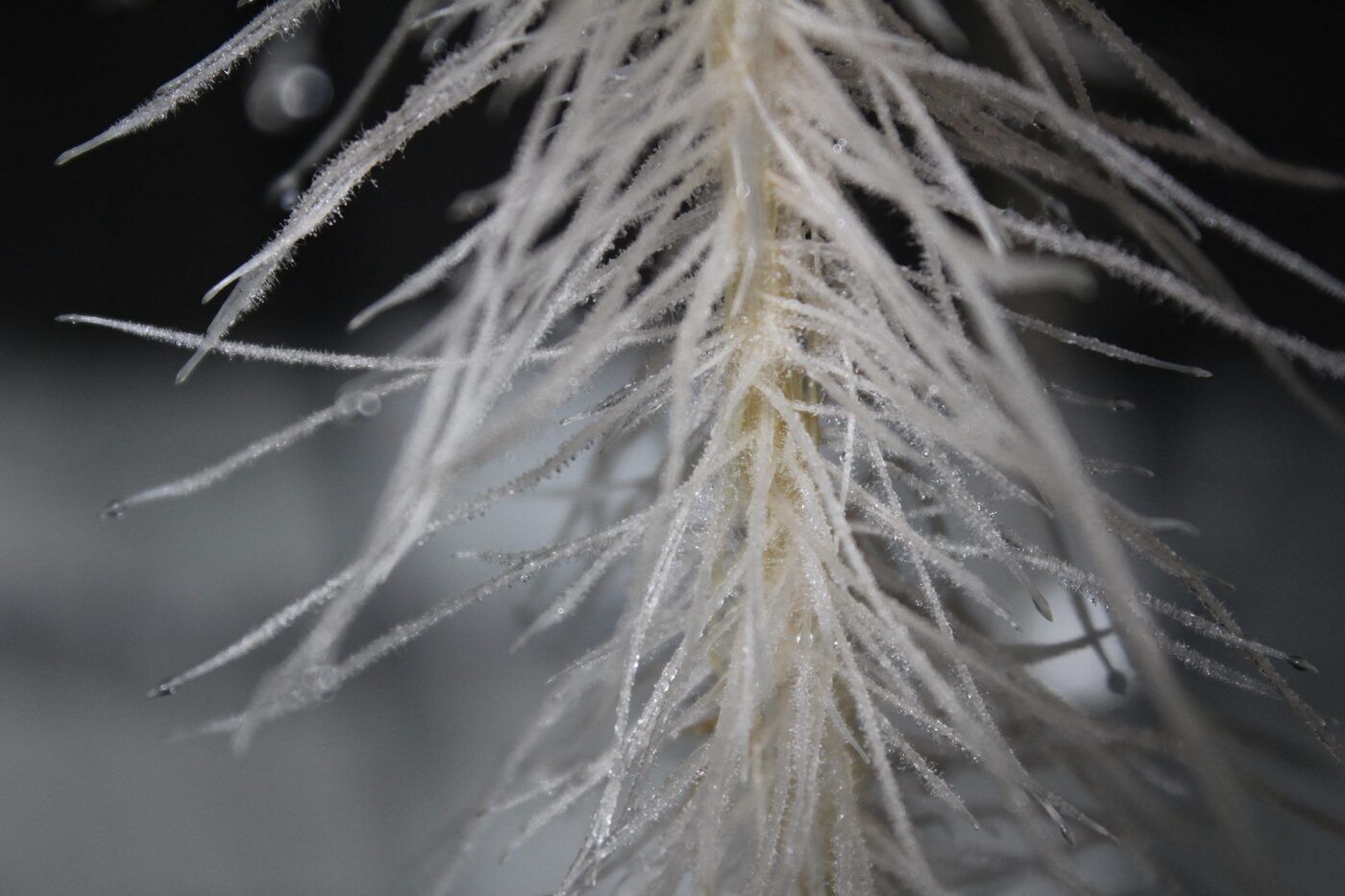 What is the best practice of using aeroponics?