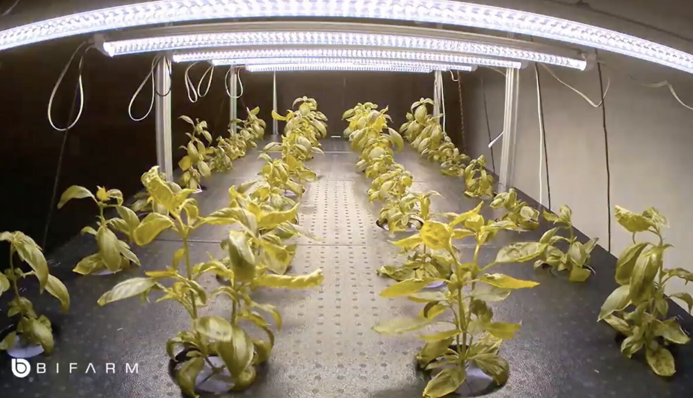 What is the most challenging thing about indoor farming?